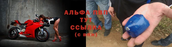 ГАЛЛЮЦИНОГЕННЫЕ ГРИБЫ Рославль