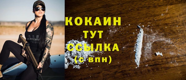 ГАЛЛЮЦИНОГЕННЫЕ ГРИБЫ Рославль