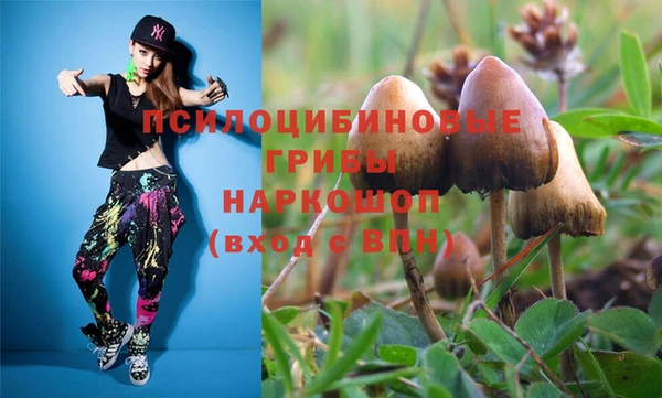 ГАЛЛЮЦИНОГЕННЫЕ ГРИБЫ Рославль
