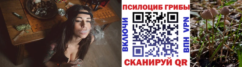 Псилоцибиновые грибы MAGIC MUSHROOMS Абаза